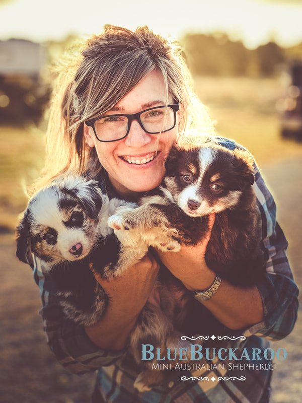 Nicole, Founder of Thinking Canine Academy